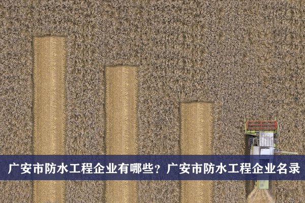 广安市防水工程公司有哪些？广安防水工程企业名录