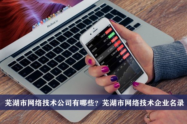 芜湖市网络技术公司有哪些？芜湖网络技术企业名录