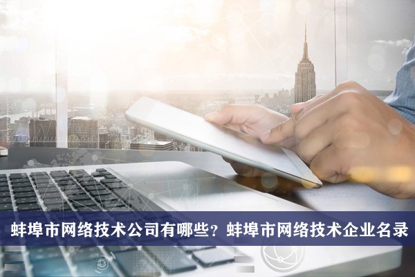 蚌埠市网络技术公司有哪些？蚌埠网络技术企业名录