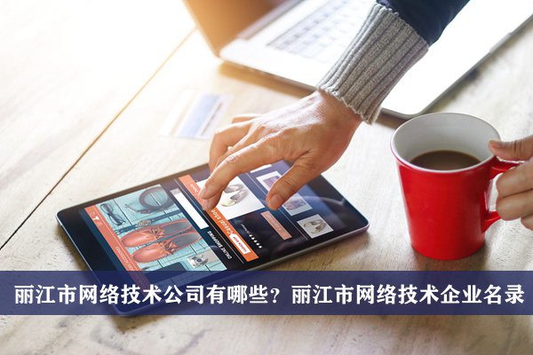丽江市网络技术公司有哪些？丽江网络技术企业名录